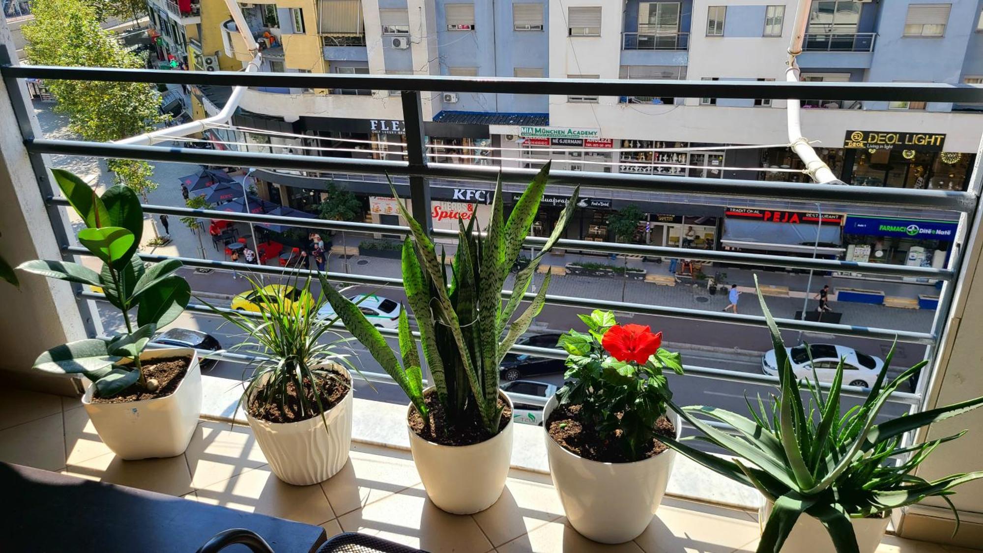 Marinela Apartment Тирана Екстер'єр фото
